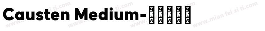 Causten Medium字体转换